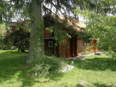 3-Zimmer-Haus mieten in Neunkirchen – 92 m², € 1.490 – Bild 8 von 41