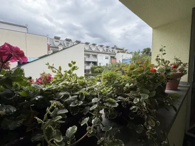 2-Zimmer-Wohnung kaufen in Mödling – 63,49 m², € 249.000 – Bild 1 von 6