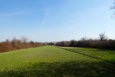 Grundstück zum Kauf in 7091 Eisenstadt - Umgebung