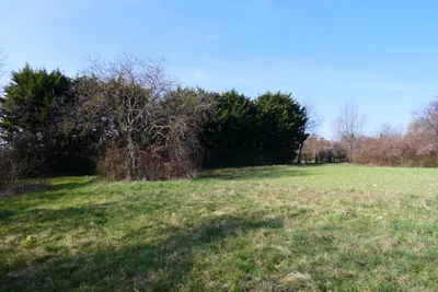 Grundstück kaufen in Eisenstadt - Umgebung – 5 788 m², € 650.000 – Bild 2 von 3