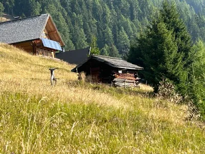 Grundstück kaufen in Spittal an der Drau – 1 250 m², € 312.500 – Bild 9 von 26