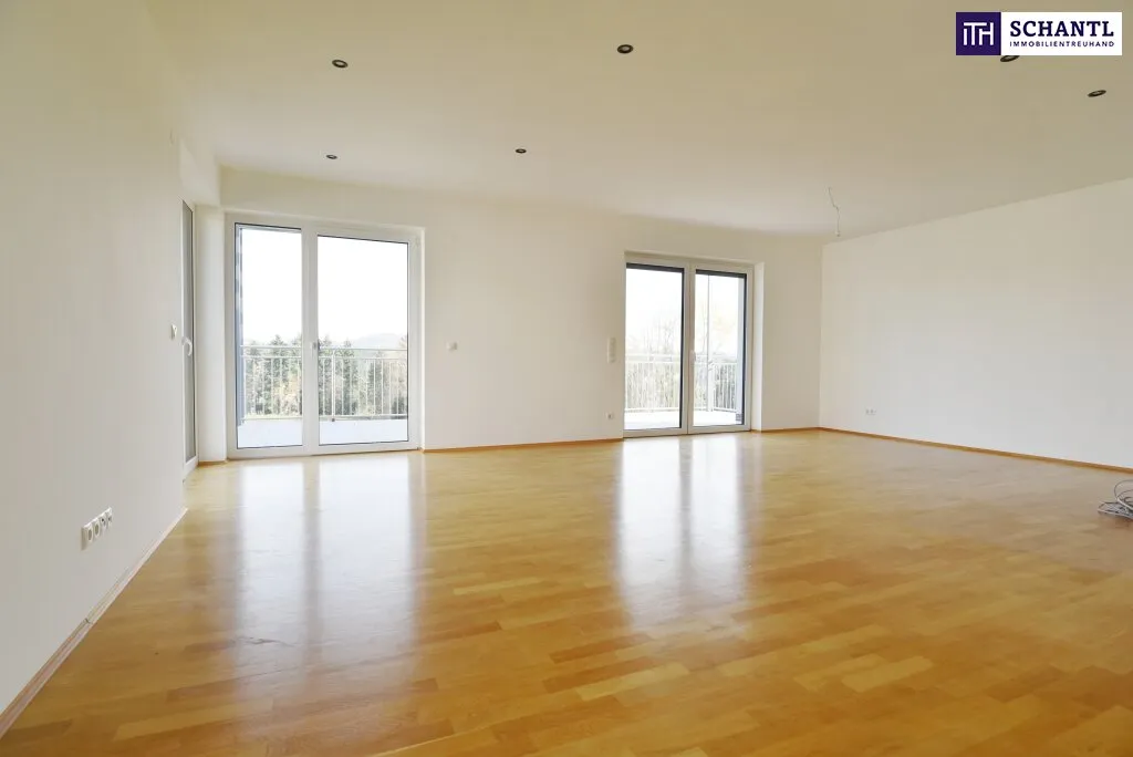 Modernes, lichtdurchflutetes Einfamilienhaus mit Panoramaterrasse in der steirischen Weingegend - PROVISIONSFREI!!! Ein Wohnjuwel für höchste Ansprüche! - Ansicht 3