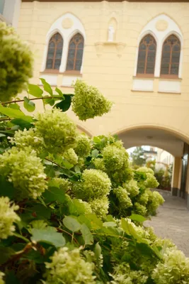 5-Zimmer-Wohnung mieten in Mödling – 203 m², € 3.400