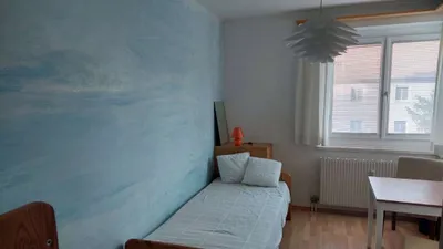 1-Zimmer-Wohnung mieten in Bruck an der Leitha – 12 m², € 300 – Bild 3 von 4