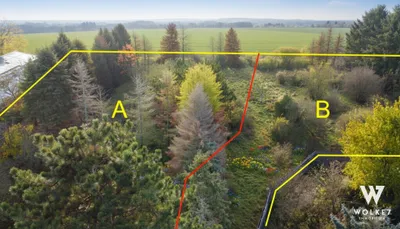 Grundstück kaufen in Gänserndorf – 1 706 m² – Bild 2 von 10