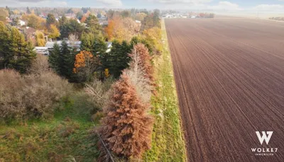 Grundstück kaufen in Gänserndorf – 1 706 m² – Bild 9 von 10