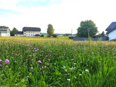 Grundstück kaufen in Urfahr-Umgebung – 954 m², € 143.000 – Bild 2 von 9