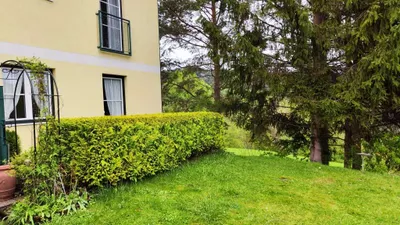 1-Zimmer-Wohnung kaufen in Neunkirchen – 40,84 m², € 89.000 – Bild 2 von 10