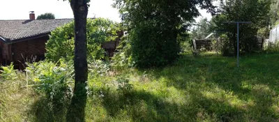5-Zimmer-Haus mieten in Zwettl – 200 m², € 1.400 – Bild 17 von 19