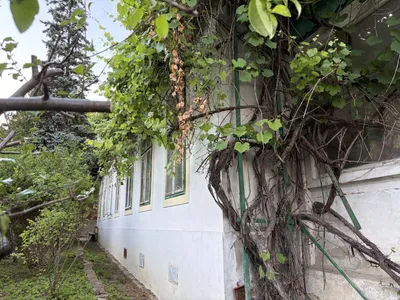 5-Zimmer-Haus kaufen in Wien – 150 m², € 849.000 – Bild 1 von 10