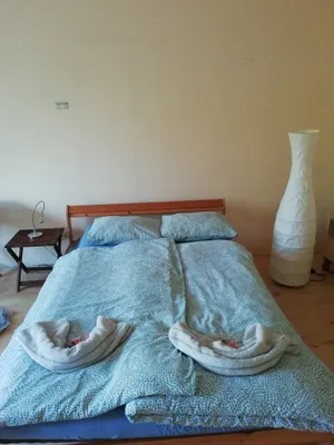 1-Zimmer-Wohnung mieten in Wien – 25 m², € 790 – Bild 2 von 8