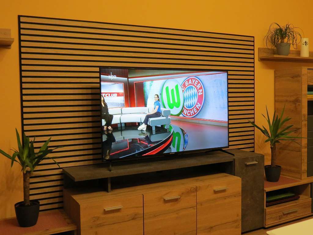 Sharp50"DJ4E4KUltraHD!