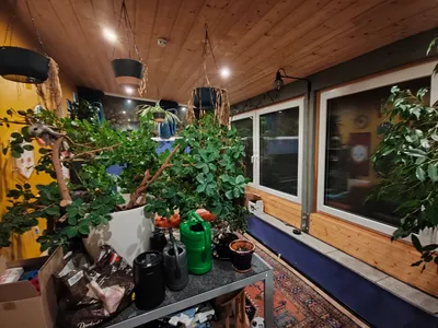 5-Zimmer-Haus kaufen in Graz – 145 m², € 670.000 – Bild 16 von 34