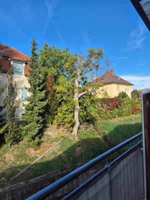 2-Zimmer-Wohnung mieten in Graz – 60 m², € 560 – Bild 4 von 19
