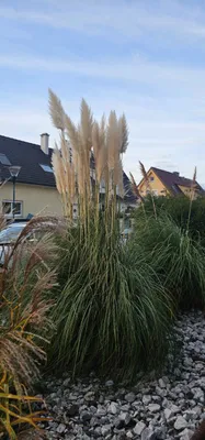 5-Zimmer-Haus mieten in Mödling – 100 m², € 2.000 – Bild 2 von 27