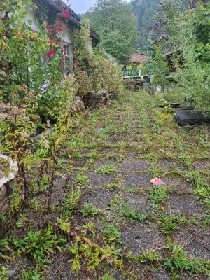 Gewerbeimmobilie kaufen in Lilienfeld – 500 m², € 779.191 – Bild 30 von 42