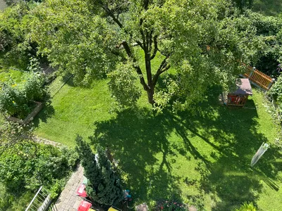 2-Zimmer-Wohnung mieten in Linz – 76 m², € 1.350 – Bild 3 von 10
