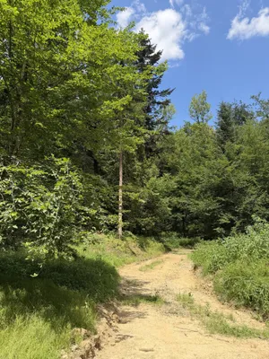 Grundstück kaufen in Weiz – 92 720 m² – Bild 6 von 6