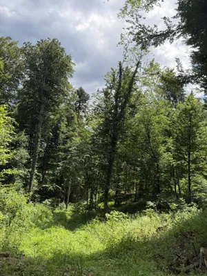 Grundstück kaufen in Weiz – 92 720 m² – Bild 4 von 6