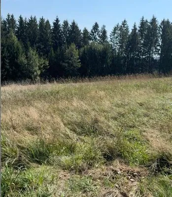 Grundstück kaufen in Urfahr-Umgebung – 741 m², € 89.000 – Bild 5 von 8