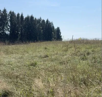 Grundstück kaufen in Urfahr-Umgebung – 741 m², € 89.000 – Bild 6 von 8