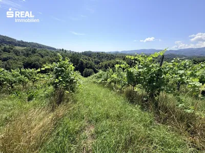 Grundstück kaufen in Leibnitz – 266 280 m², € 1.522.200 – Bild 2 von 4