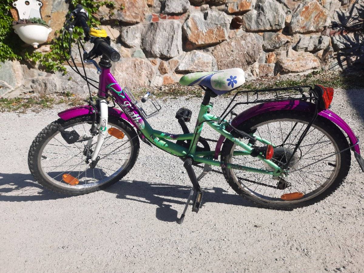 Kinderfahrrad 20 zoll,  50,- (8160 Weiz) - willhaben