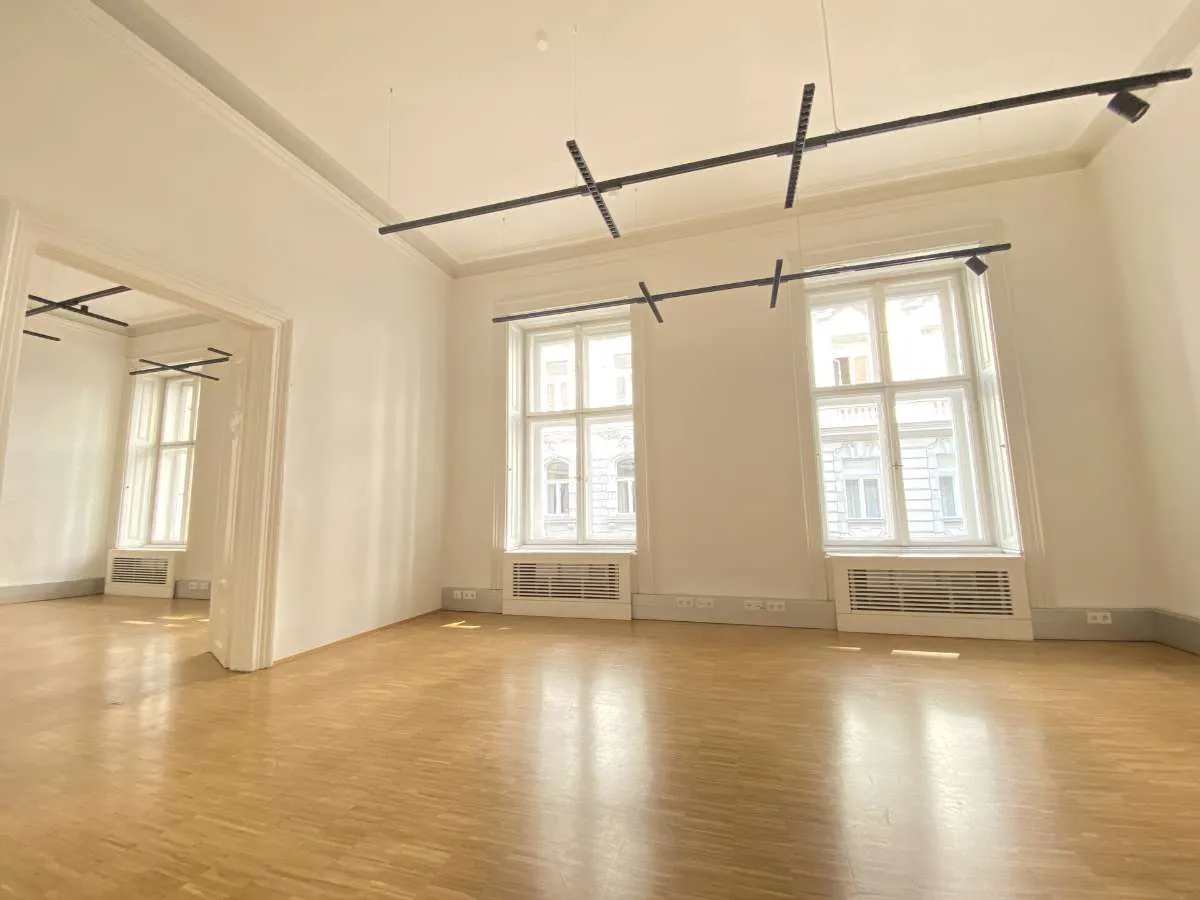 Wohnen und Arbeiten im historischen Palais - Fläche im Hochparterre - ehemalige Büroeinheit im Botschaftsviertel - zu kaufen in 1040 Wien - Ansicht 3