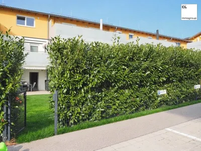 3-Zimmer-Wohnung mieten in Salzburg-Umgebung – 71,8 m², € 1.405 – Bild 9 von 13