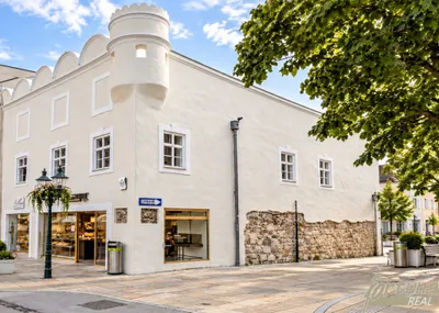 Gewerbeimmobilie kaufen in Tulln – 250 m² – Bild 1 von 10