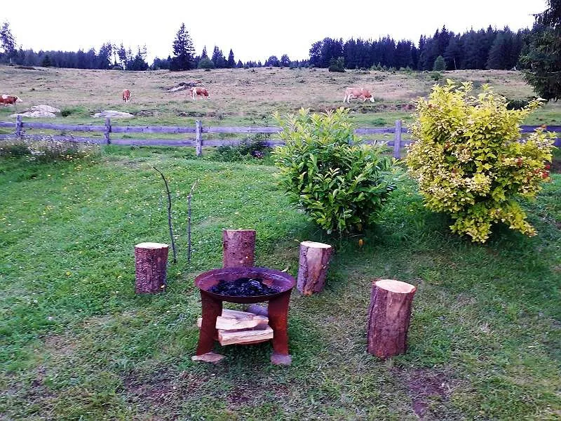 Schöne Almhütte - Ansicht 3
