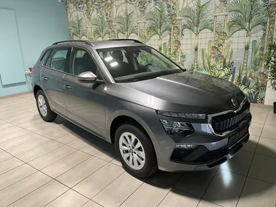 Skoda Kamiq Selection TSI