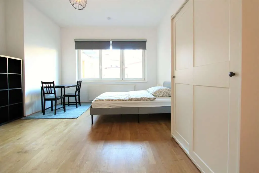 Schön möblierte, gemütliche 1-Zimmer-Wohnung! Kurzzeitvermietung! - Ansicht 3