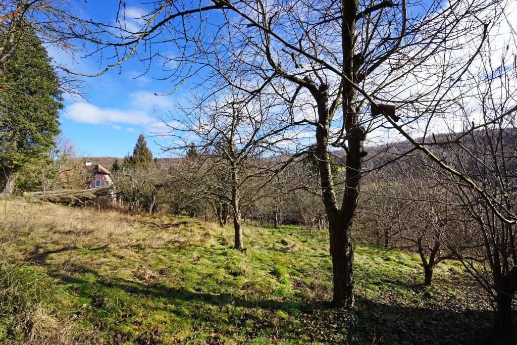 Grundstück mit Panoramablick an der Wiener Stadtgrenze - teilbar mit Bauträger-Eignung! - Ansicht 2