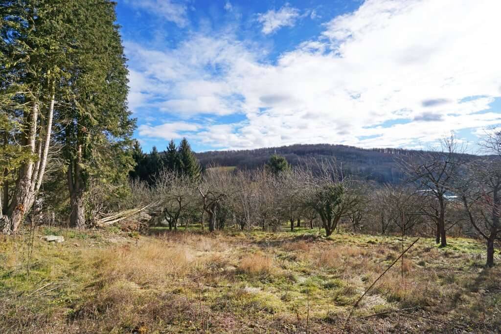 Grundstück mit Panoramablick an der Wiener Stadtgrenze - teilbar mit Bauträger-Eignung!, Mauerbach