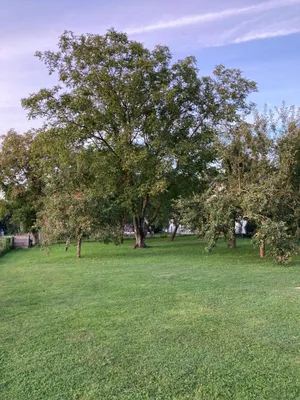 Haus kaufen in Schärding – 200 m², € 799.000 – Bild 17 von 32