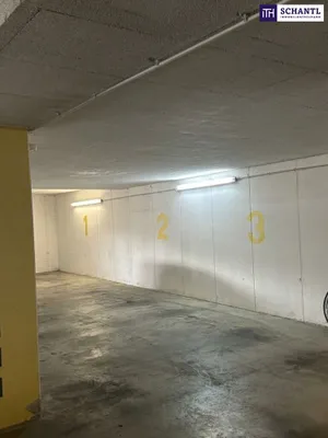 Immobilie kaufen in Graz – 13 m², € 30.000 – Bild 6 von 20