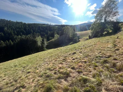 5-Zimmer-Immobilie kaufen in Voitsberg – 130 m², € 250.000 – Bild 19 von 71