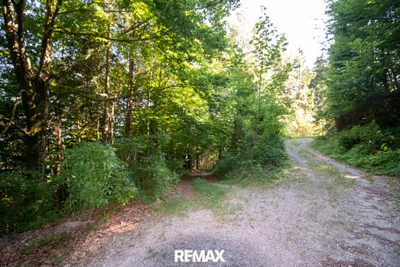 Immobilie kaufen in Kirchdorf an der Krems – 80 032 m², € 240.000 – Bild 4 von 9
