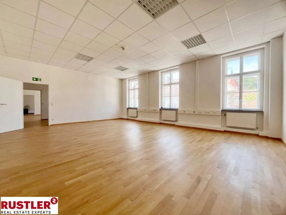 Top Adresse - mitten im Zentrum von Mödling zu mieten! - Widok 2