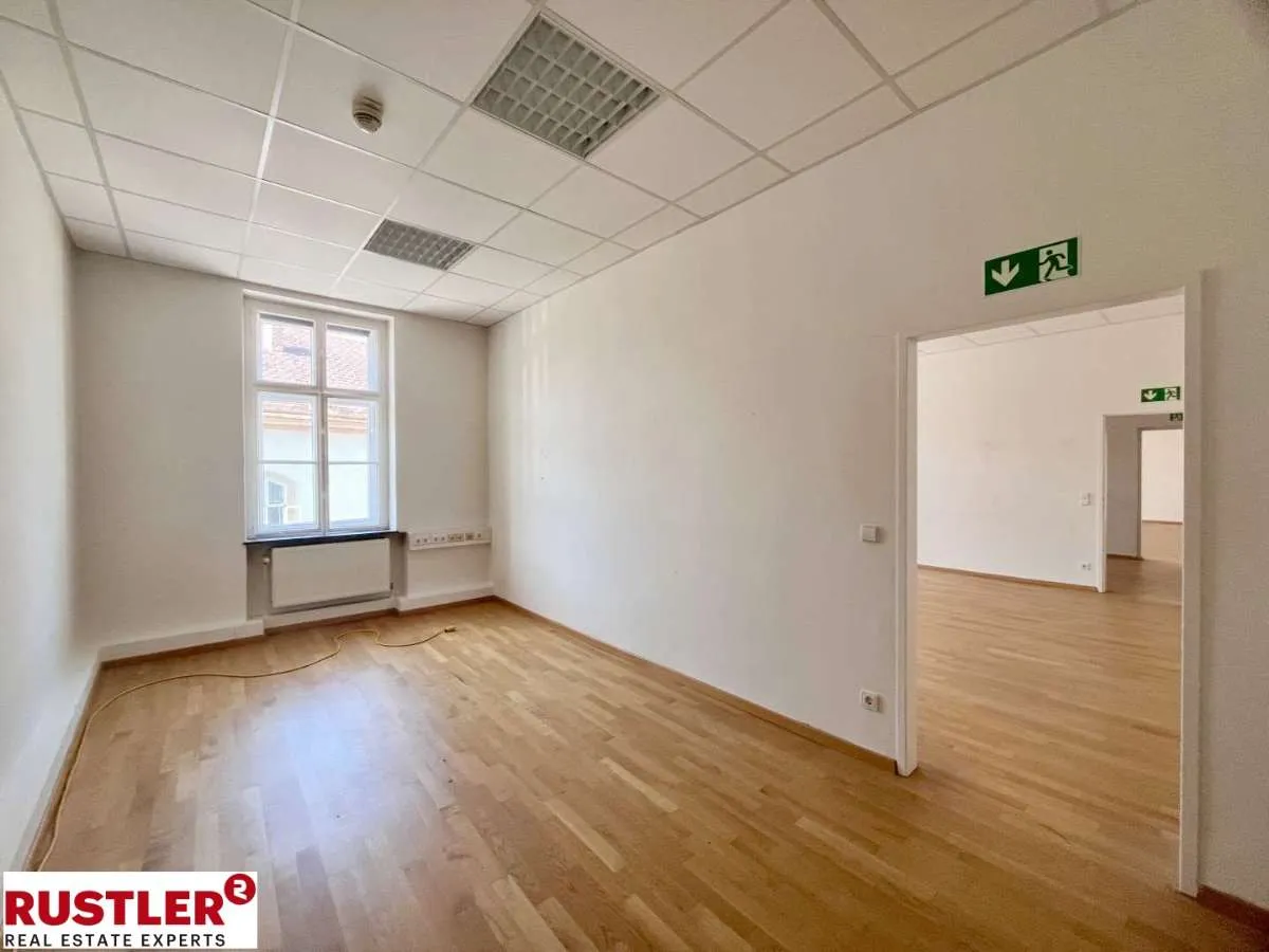 Top Adresse - mitten im Zentrum von Mödling zu mieten! - Widok 3