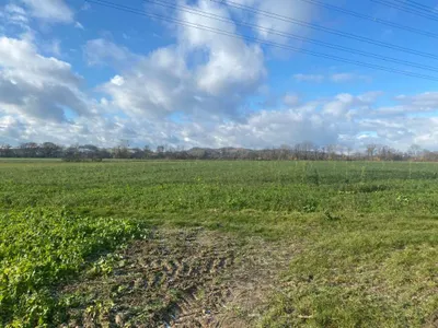 Grundstück kaufen in Linz Land – 33 750 m², € 945.000 – Bild 2 von 3
