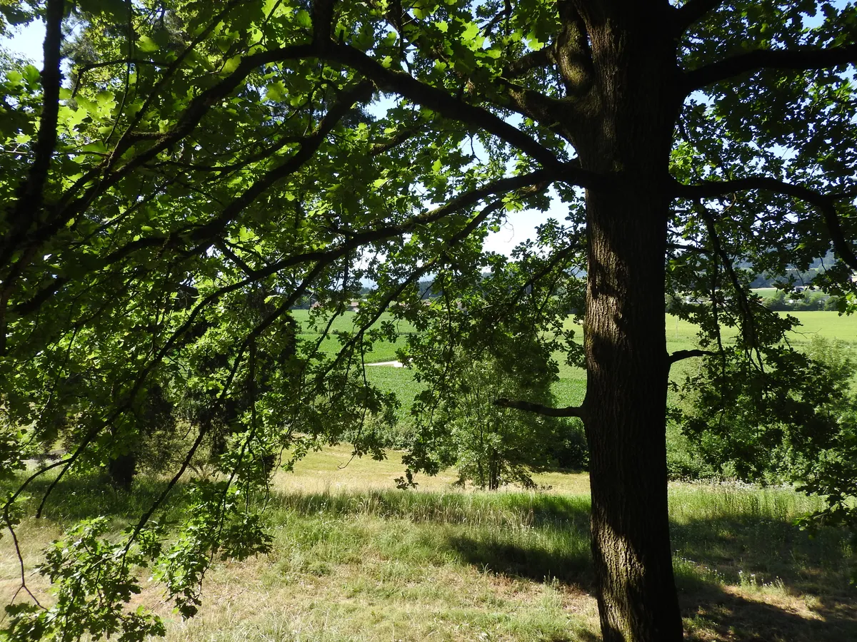 * In VILLENLAGE* EXKLUSIVES, einzigartiges BAUGRUNDSTÜCK auf ca.1.309 m² und mehr, ohne BAUVERPFLICHTUNG, Aussichts- und Ruhelage in WOLFSBERG/KÄRNTEN - Ansicht 3
