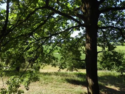Grundstück kaufen in Wolfsberg – 1 309 m² – Bild 3 von 3