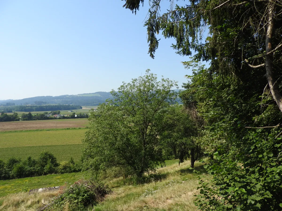 * In VILLENLAGE* EXKLUSIVES, einzigartiges BAUGRUNDSTÜCK auf ca.1.309 m² und mehr, ohne BAUVERPFLICHTUNG, Aussichts- und Ruhelage in WOLFSBERG/KÄRNTEN