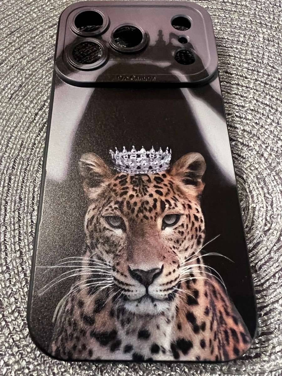 Apple iPhone 17Pro Handyhülle / Schutzhülle / Handy Cover - Löwen Prinzessinnen Design