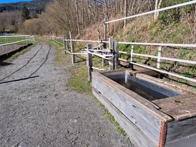 Grundstück mieten in Liezen – 3 500 m², € 500 – Bild 8 von 13