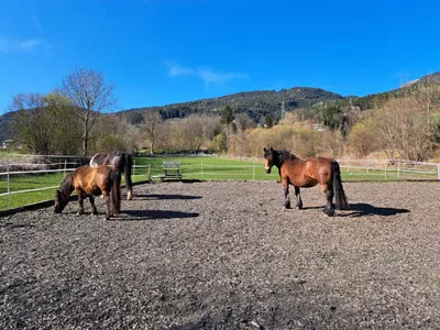 Grundstück mieten in Liezen – 3 500 m², € 500