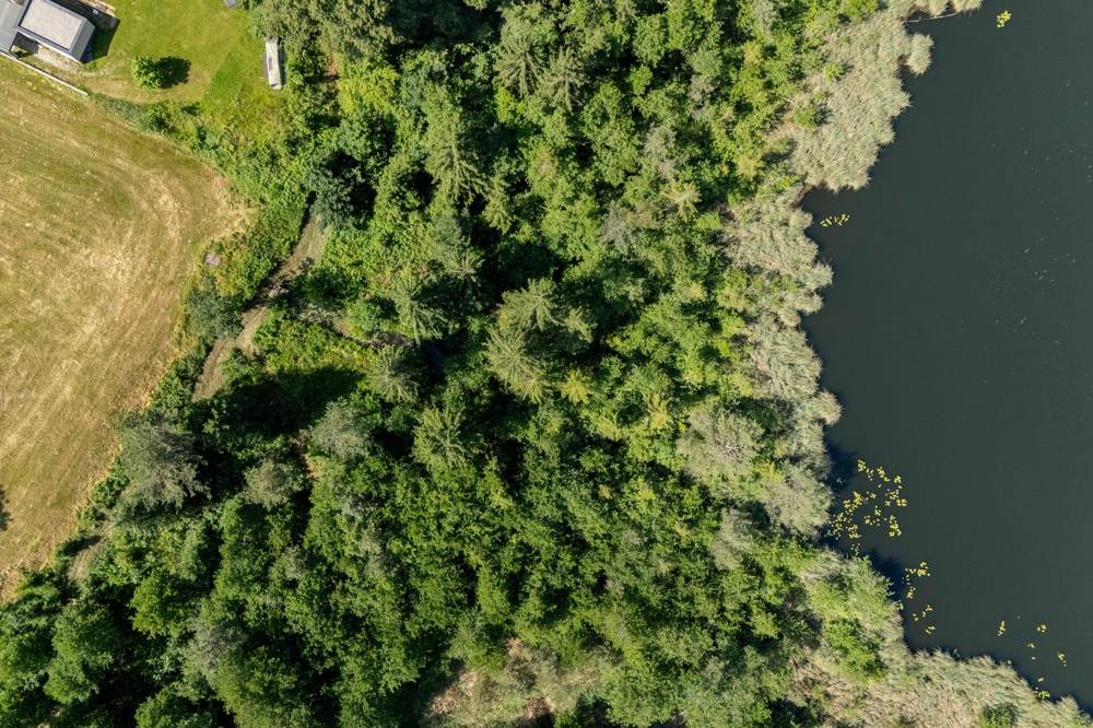 Sonniges Grundstück in Saisserseenähe - Ansicht 3