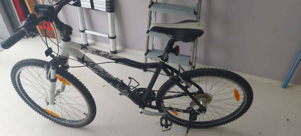 Mountainbike Damen kaufen - willhaben